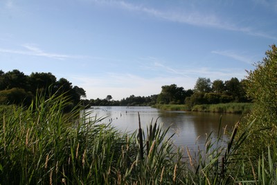 LeClosdesAubrys-ParcNaturel-Brenne-Nature-Berry